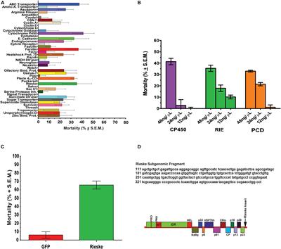 Crowdsourced Identification of Potential Target Genes for CTV Induced Gene Silencing for Controlling the Citrus Greening Vector Diaphorina citri